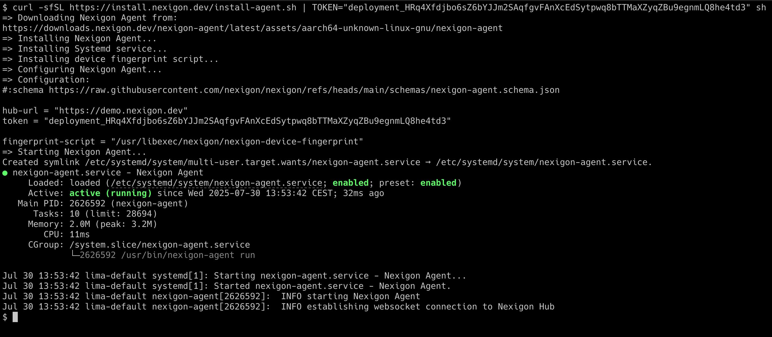 Screenshot of Agent Installation