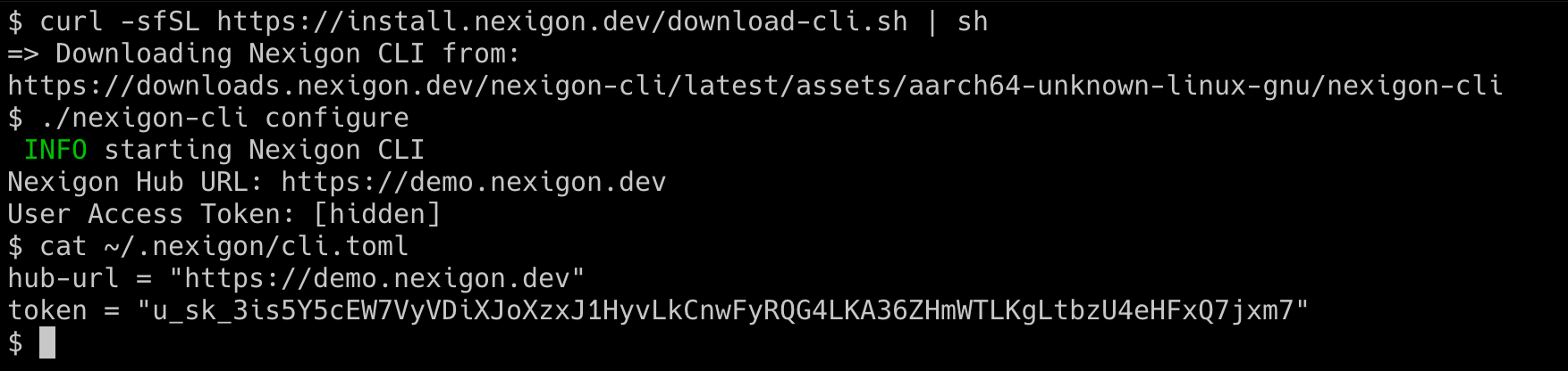 Screenshot of CLI Installation